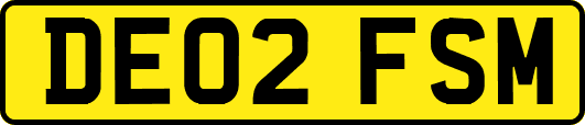 DE02FSM
