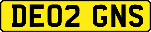 DE02GNS