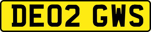 DE02GWS