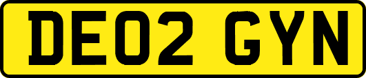 DE02GYN