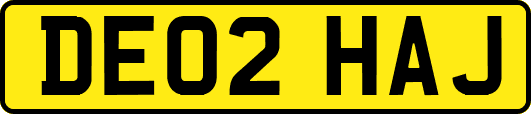 DE02HAJ