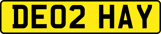 DE02HAY