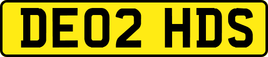 DE02HDS
