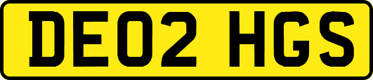 DE02HGS