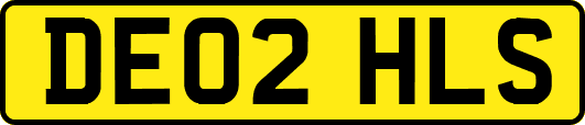 DE02HLS