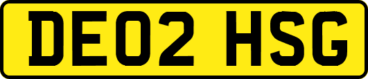 DE02HSG