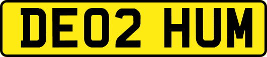 DE02HUM