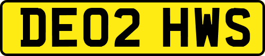 DE02HWS