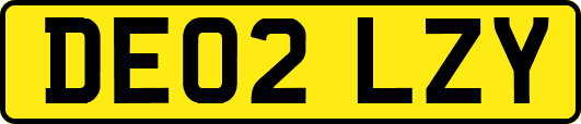 DE02LZY