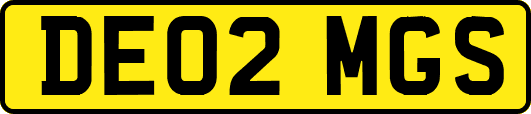 DE02MGS