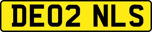 DE02NLS