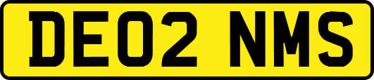 DE02NMS