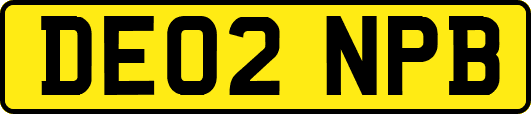 DE02NPB