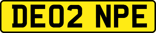DE02NPE