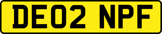 DE02NPF