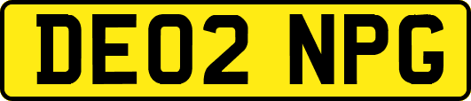 DE02NPG
