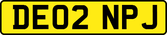 DE02NPJ
