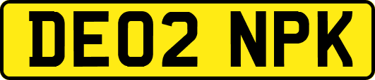 DE02NPK