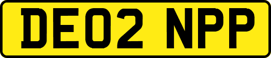DE02NPP
