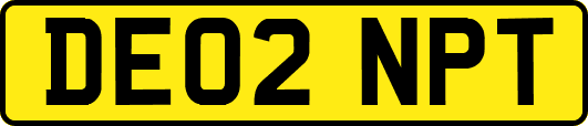 DE02NPT