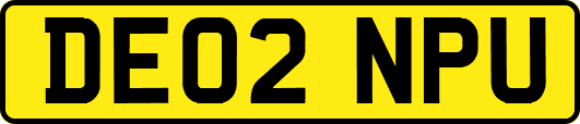 DE02NPU
