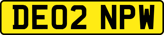 DE02NPW