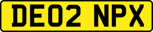 DE02NPX