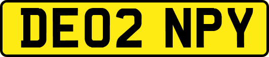 DE02NPY