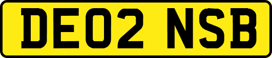 DE02NSB