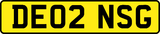 DE02NSG