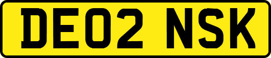 DE02NSK