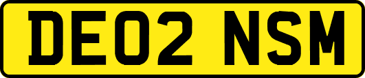 DE02NSM