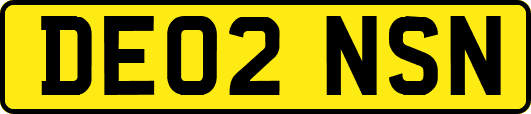 DE02NSN