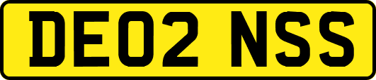 DE02NSS