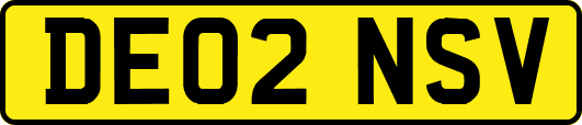 DE02NSV