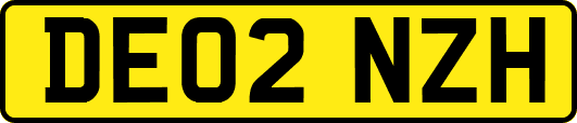 DE02NZH