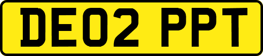 DE02PPT