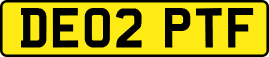 DE02PTF