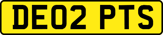 DE02PTS