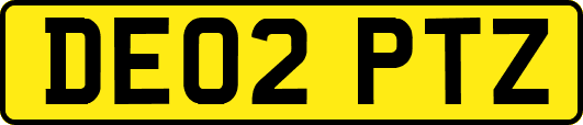 DE02PTZ