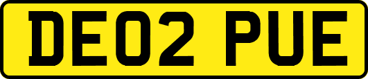 DE02PUE