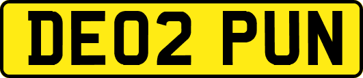 DE02PUN