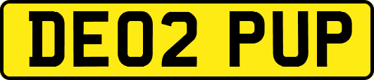 DE02PUP