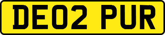 DE02PUR