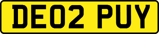 DE02PUY