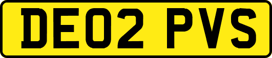 DE02PVS
