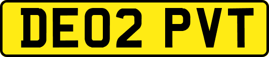 DE02PVT