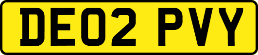DE02PVY