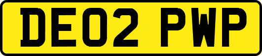 DE02PWP