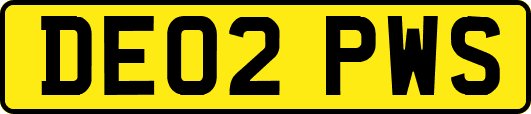 DE02PWS